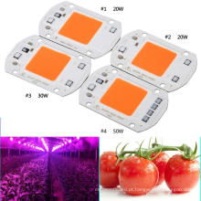 Espécie de flor vegetal inteligente IC integrado COB Full Spectrum / quente / branco frio 220V 20W 30W 50W Grow luz lâmpada Chip